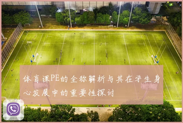 体育课PE的全称解析与其在学生身心发展中的重要性探讨