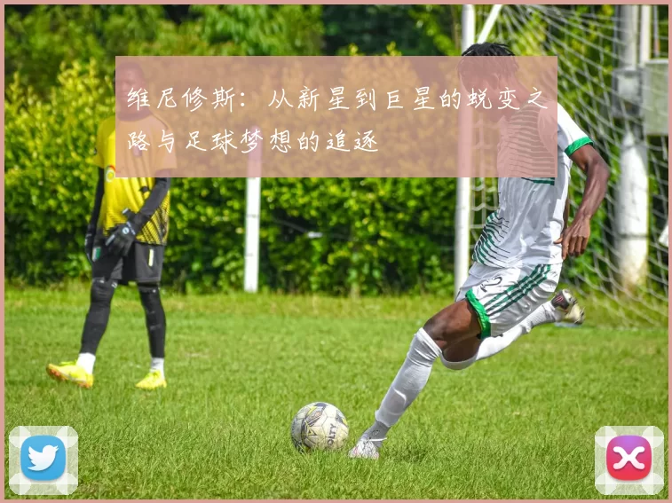 维尼修斯：从新星到巨星的蜕变之路与足球梦想的追逐